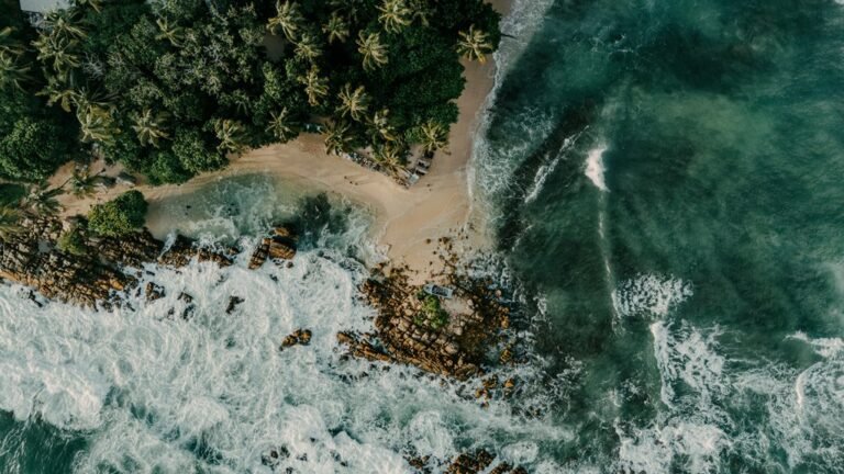 harem hotel cheat secrets